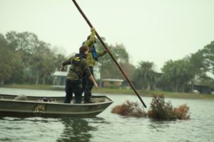 Men in boat sinking dead Christmas tree in Big Lake