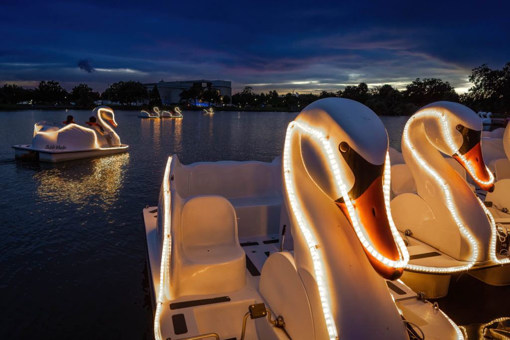 Night swan boat rides