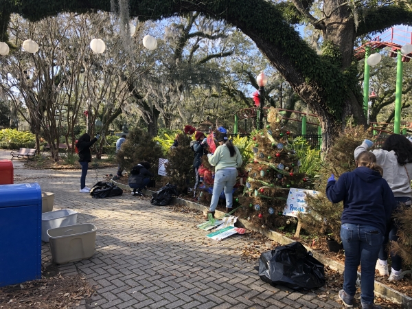 volunteers take down Celebration in the Oaks Christmas trees