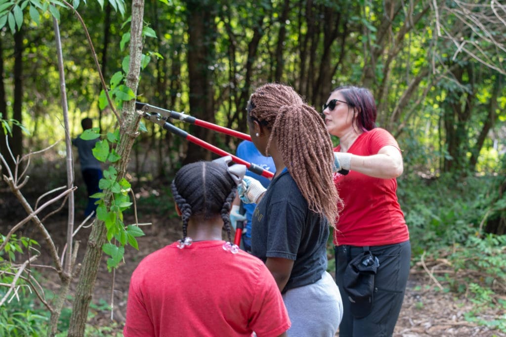 Urban Forest Support Initiative