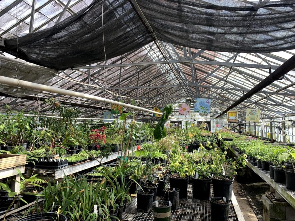 Pelican Greenhouse New Orleans City Park