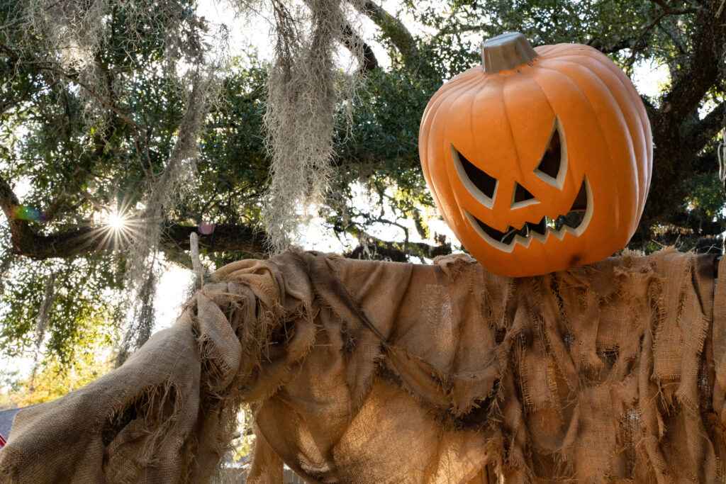 Spooky Season Approaches at the Park New Orleans City Park