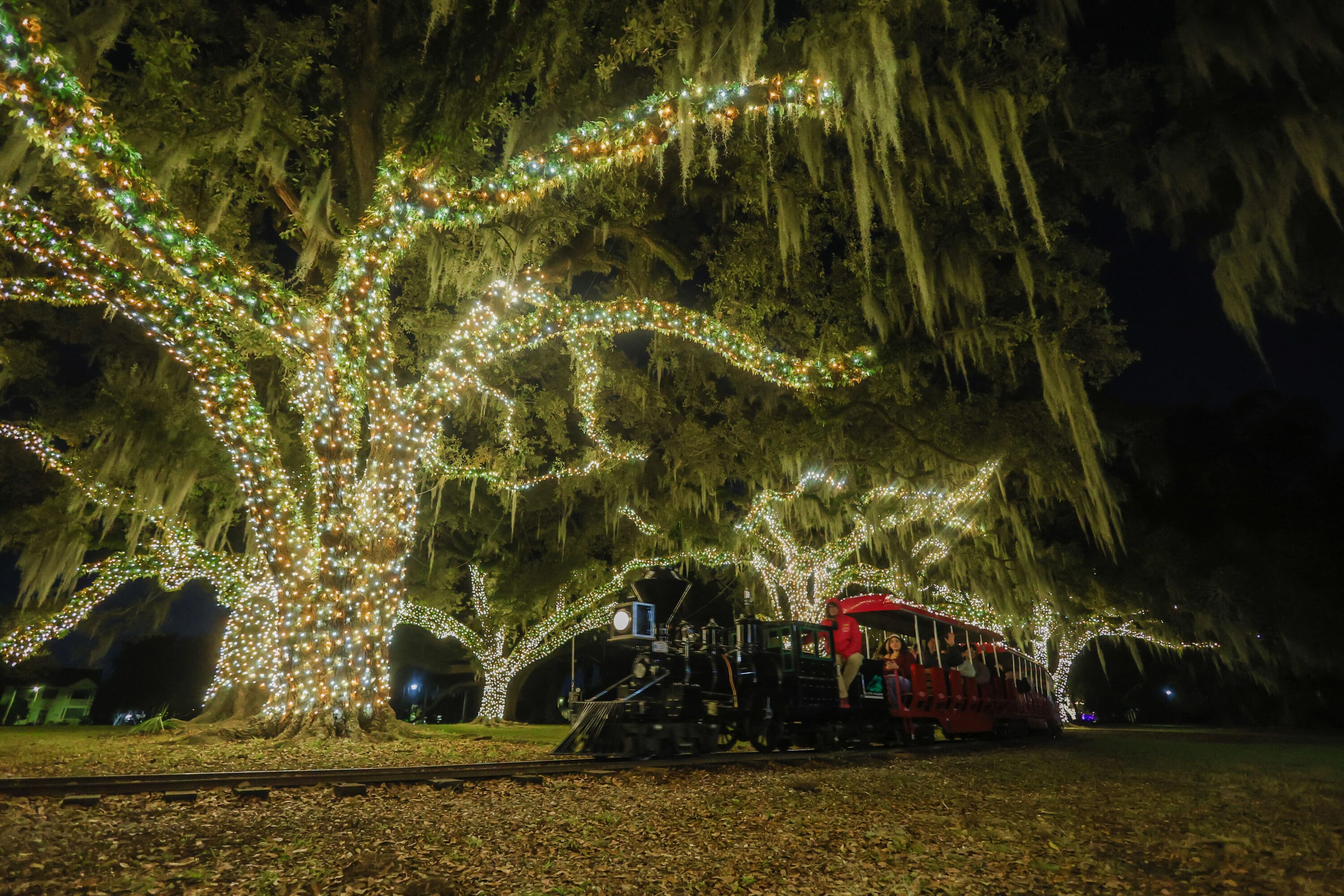 Celebration in the Oaks Offers Enhanced Experience - New Orleans City Park